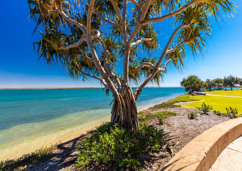 Bribie Bribie